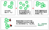 臭氧消毒器的結(jié)構(gòu)是怎樣的？